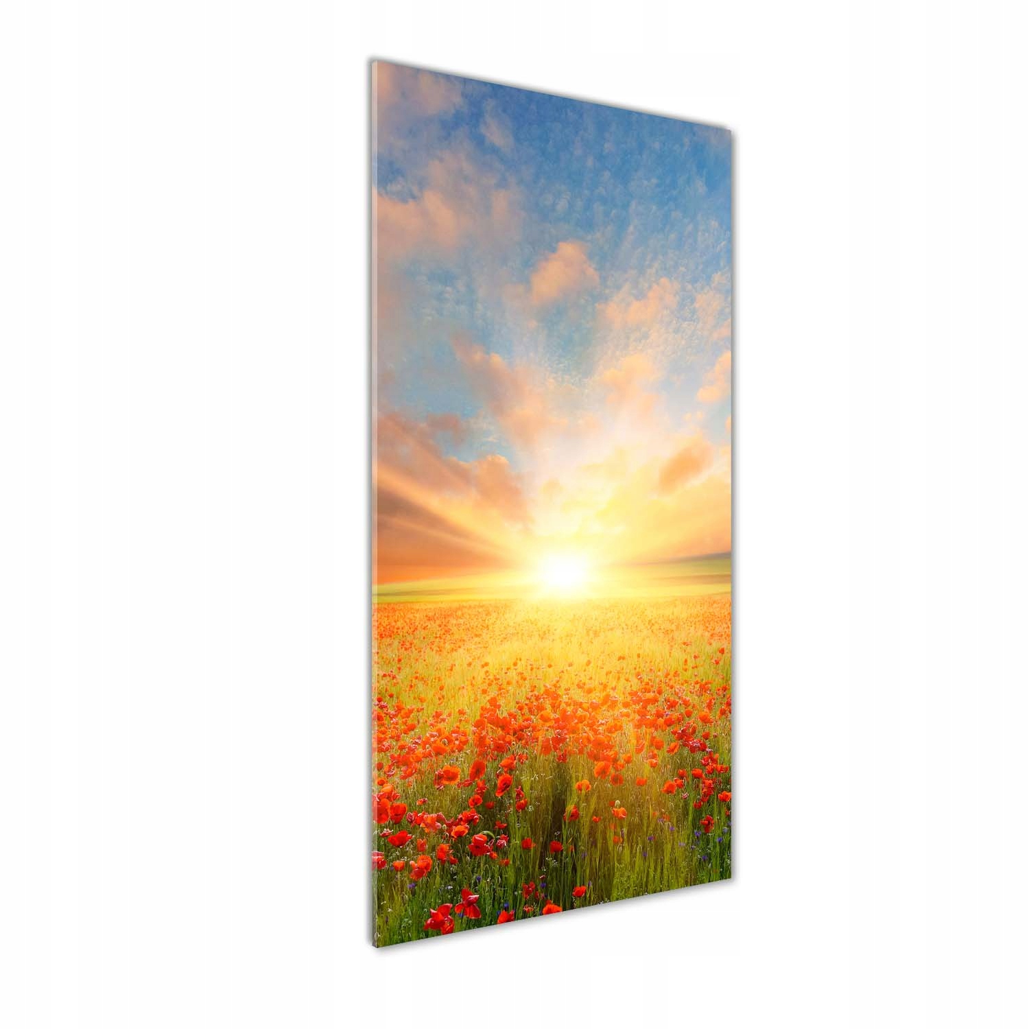 

Foto obraz szkło hartowane Pole maków 50x125 cm