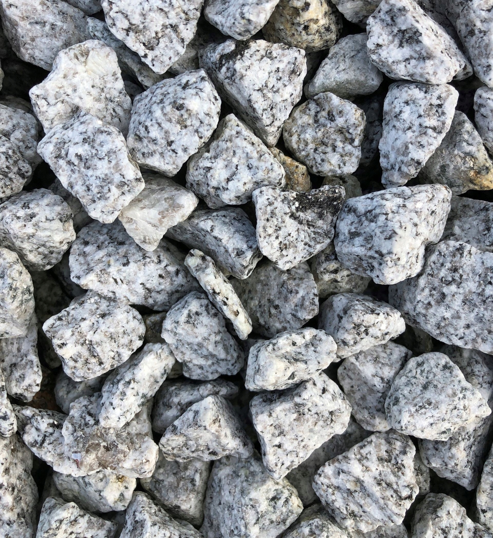 

Biovita Grys Dalmatyńczyk granit 16-22mm 20kg