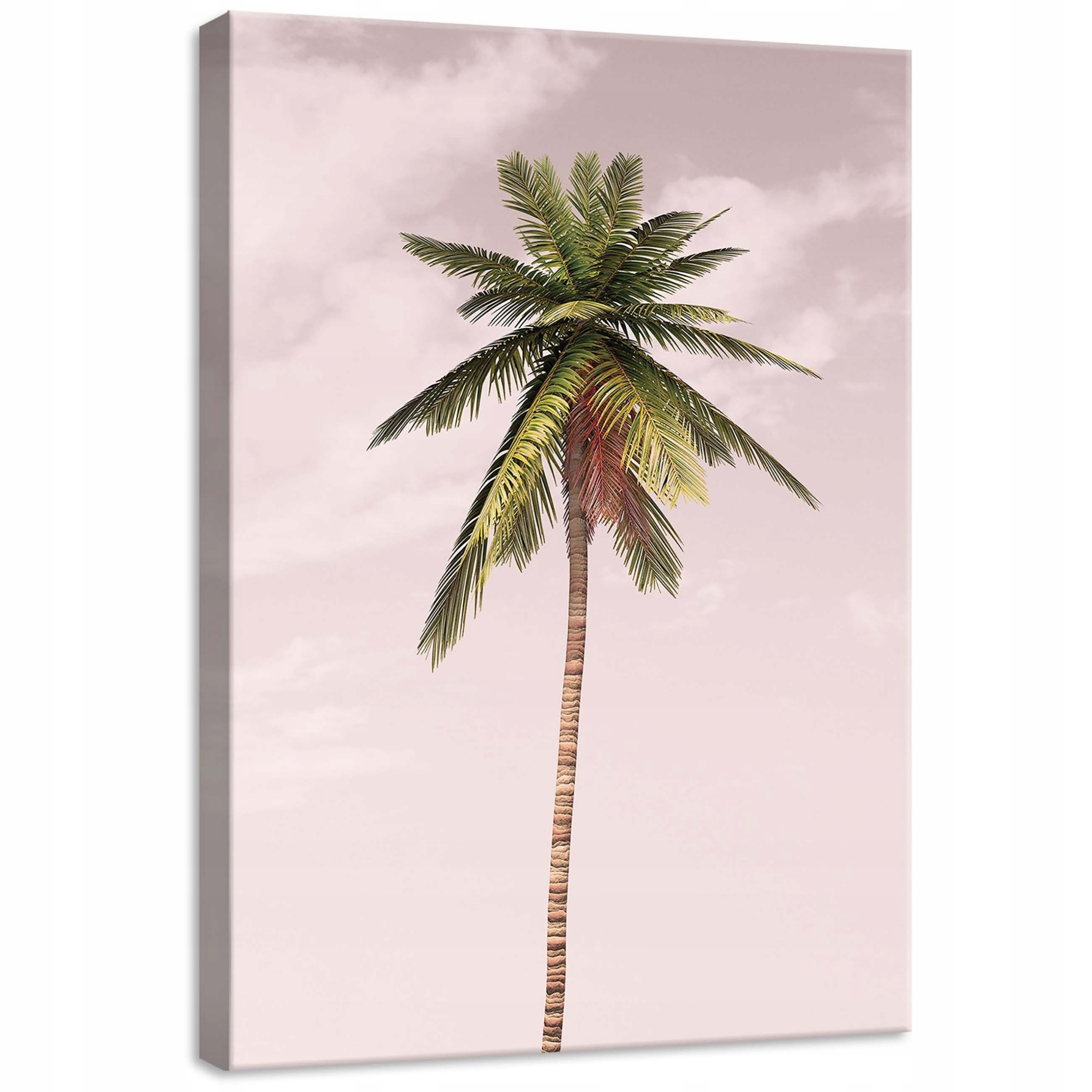Obraz 50x70 Kokosová palma tropy léto klid bezstarostná jemnost