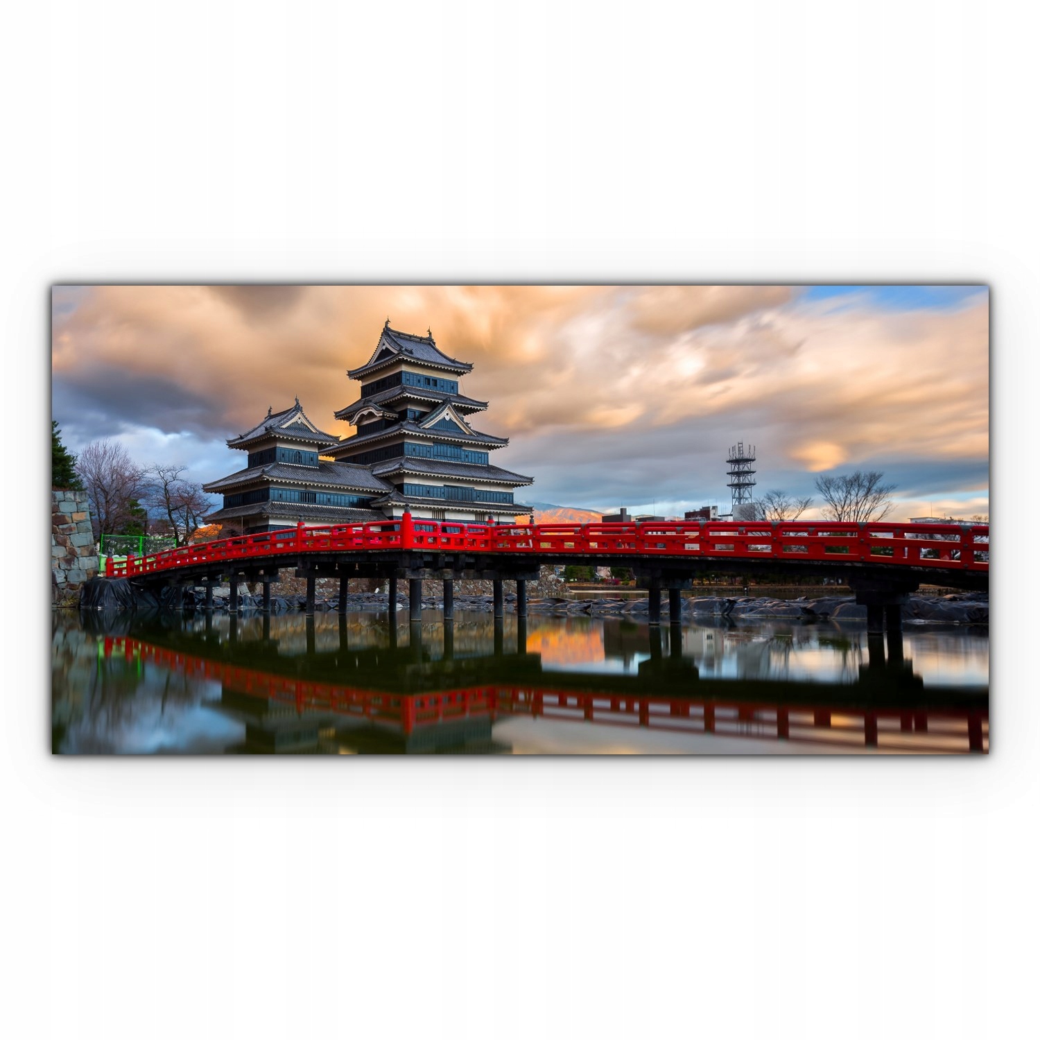 

Obraz płótno canvas 100x50 Azja Zamek Wiśnie Kwiat