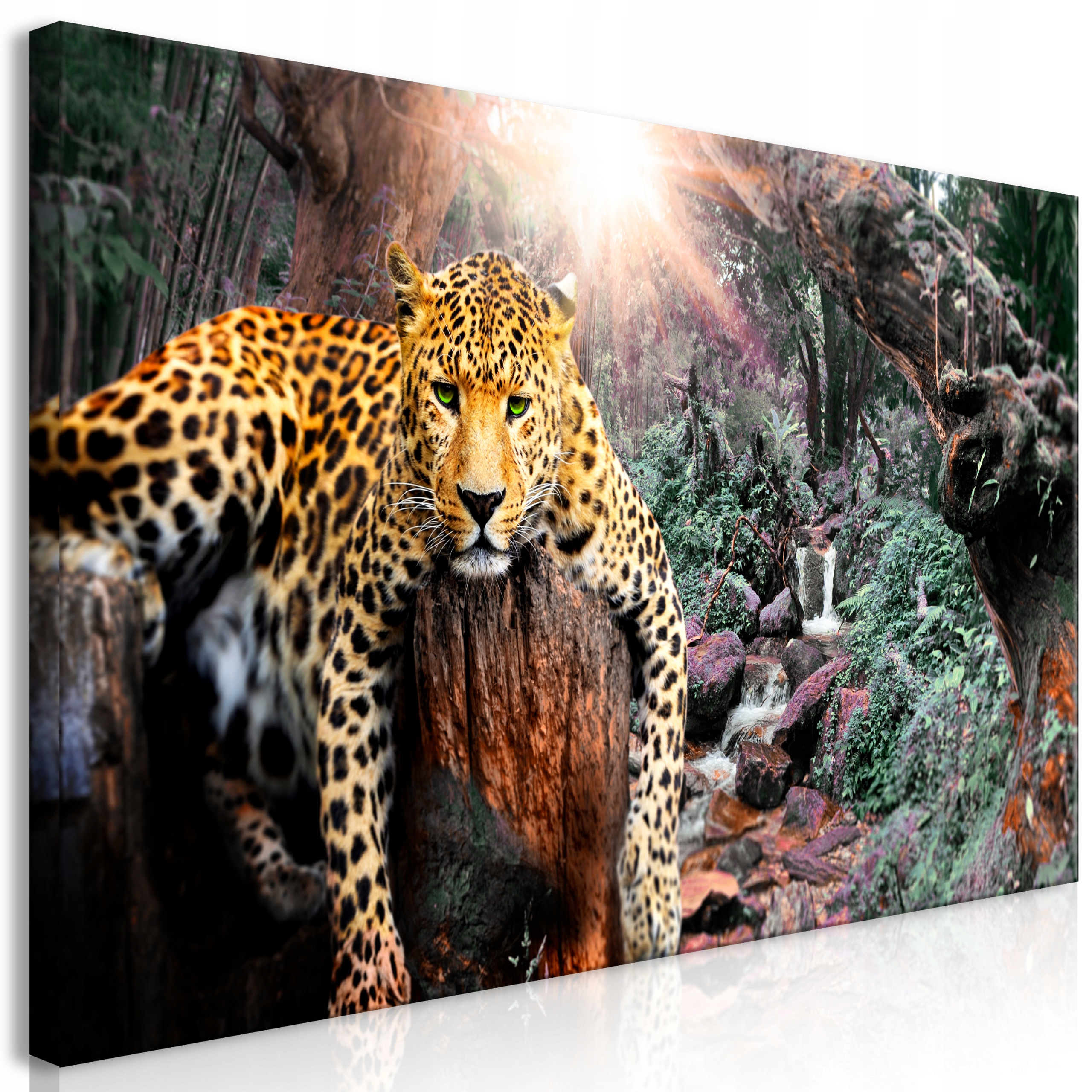 Obraz XXL Diy Leopard Velký Do Obývacího Pokoje Jídelny Nástěnná Dekorace 160x80