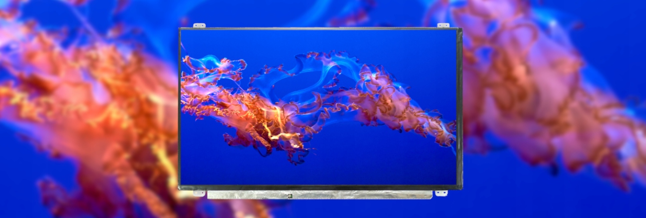 Matryca LCD N156HGE-EAL Slim TN G/D 30PIN eDP FHD Matowa Producent Elgar