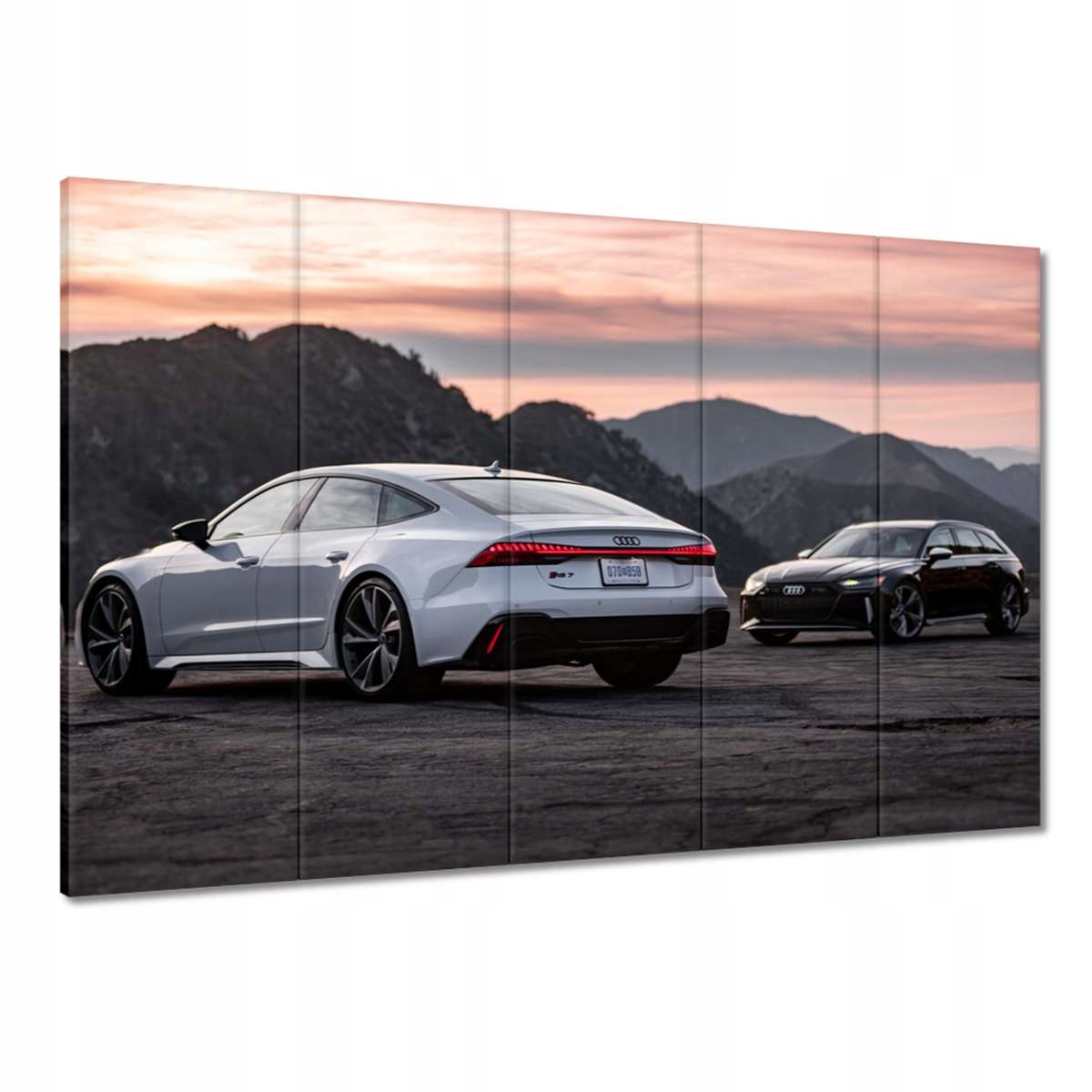 Obrazy 100x70 Bílé a černé Audi RS7