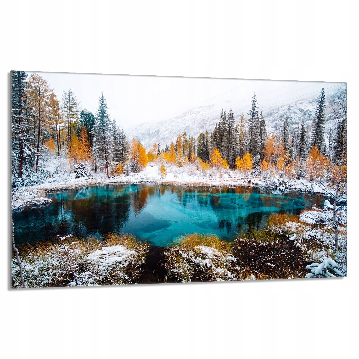 Skleněná ochranná deska na sporák 80x52 Pohled do kuchyně