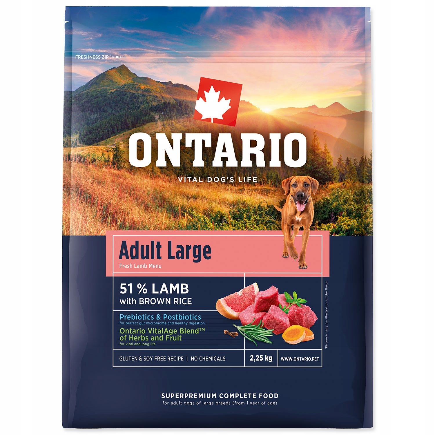 Levně Krmivo Ontario Adult Large Lamb & Brown Rice 2,25kg