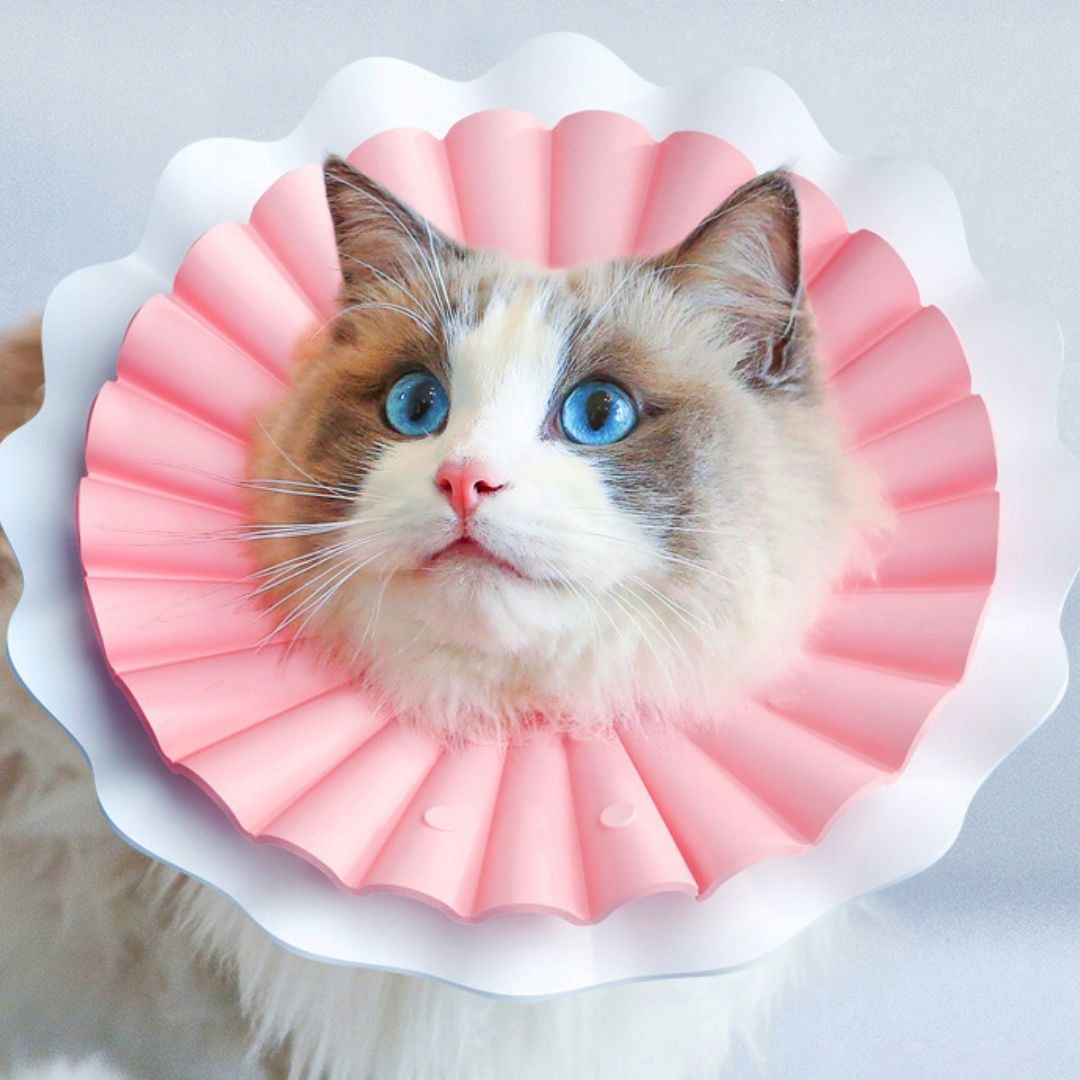 Levně Pěnový ochranný obojek pro kočky a malého psa Elizabeth růžový L