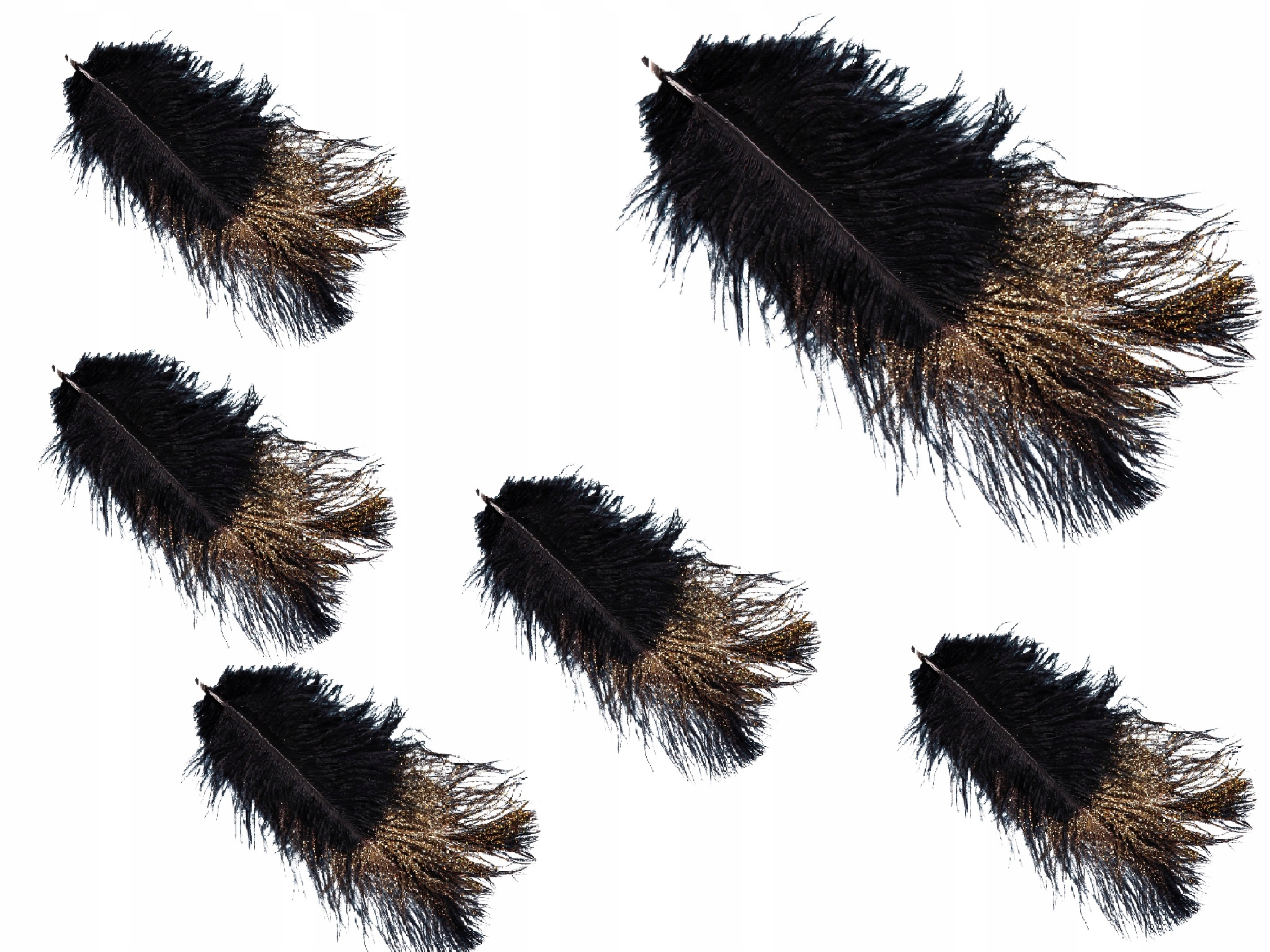 PIÓRA PIÓRKA STRUSIE NATURALNE DEKORACYJNE 6SZT