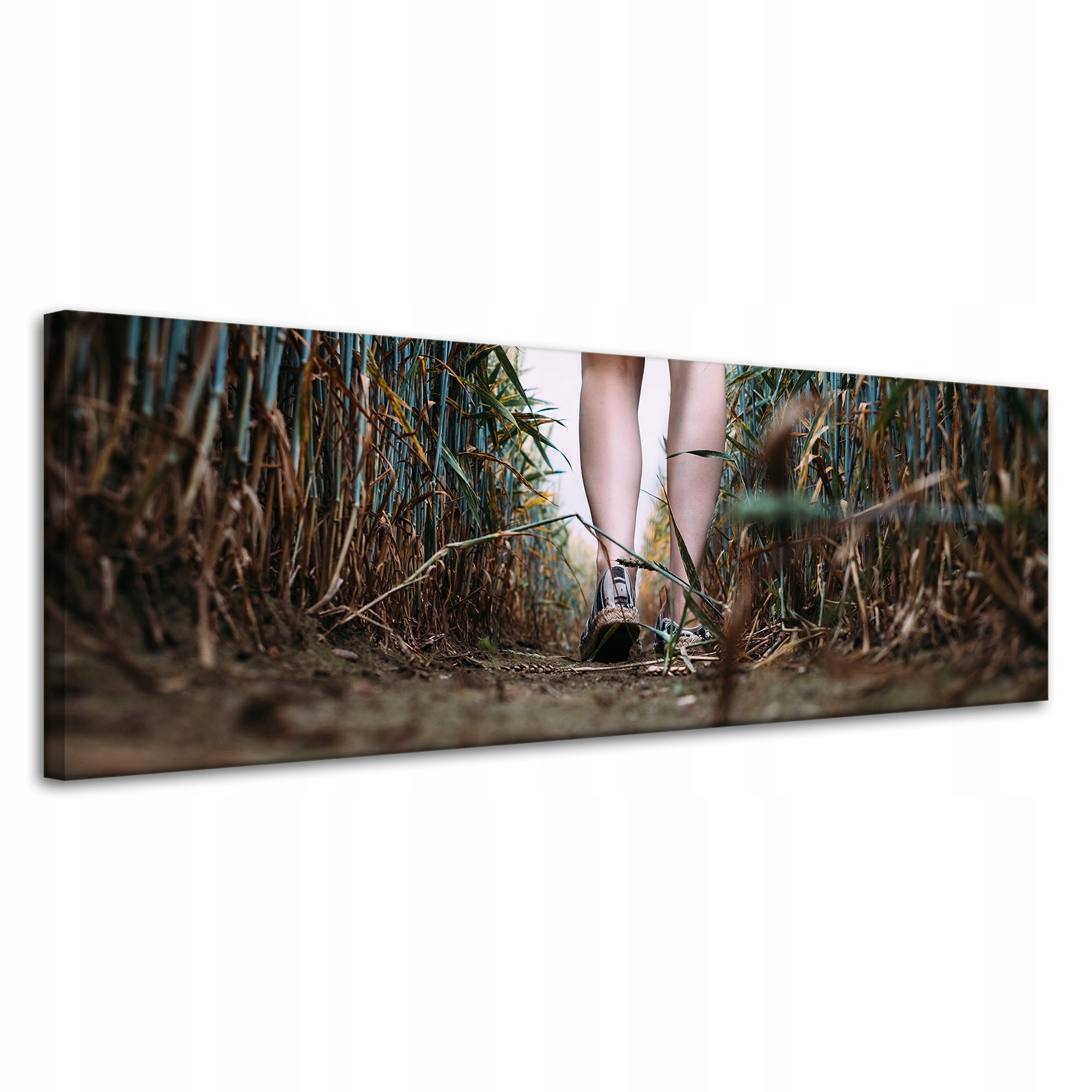 Obraz na plátně Příroda Procházka v obilí 120x40 cm