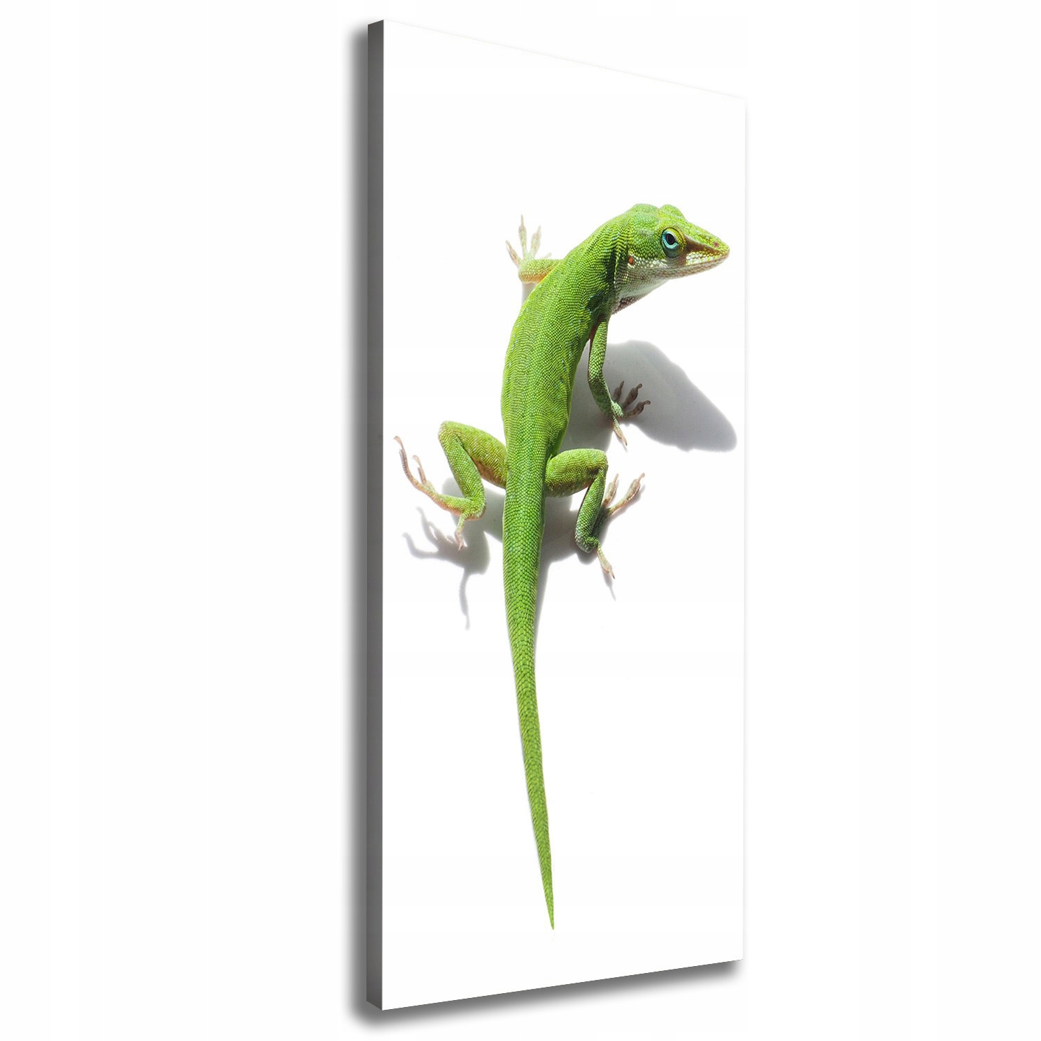 

Foto obraz na płótnie Zielona jaszczurka 50x125 cm