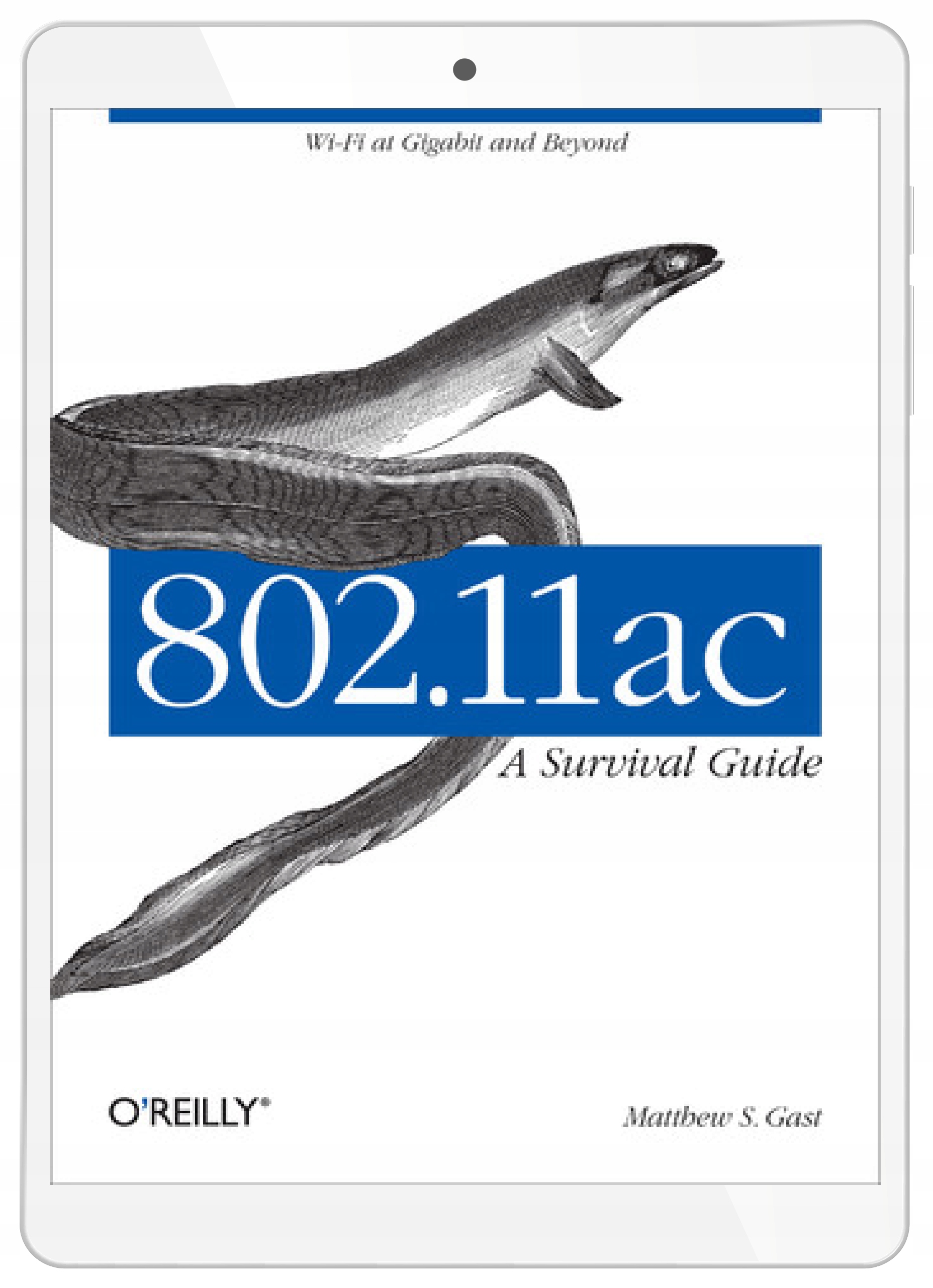 802.11ac: A Survival Guide