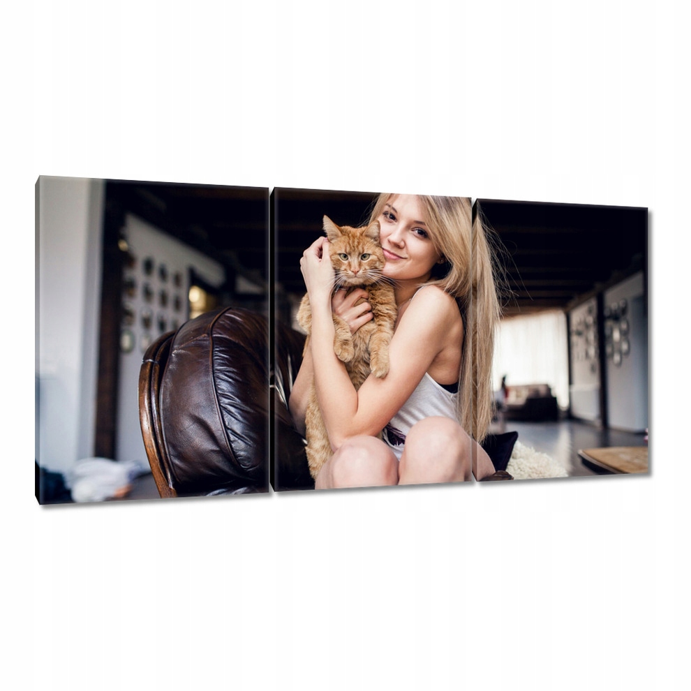 

Obrazy 120x60 Kot Kotek Kotki Kicia