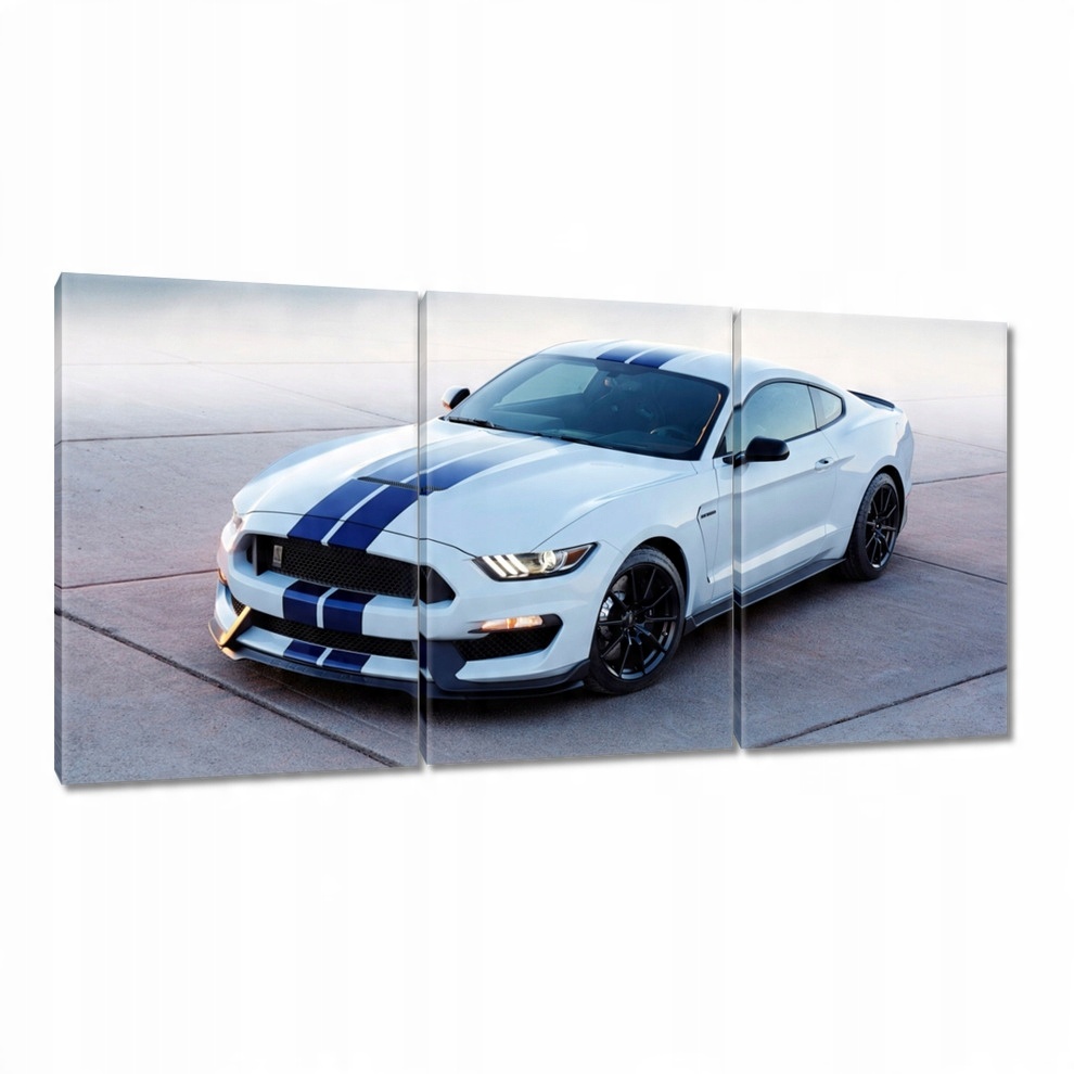 

Obrazy 240x120 Ford Mustang Shelby