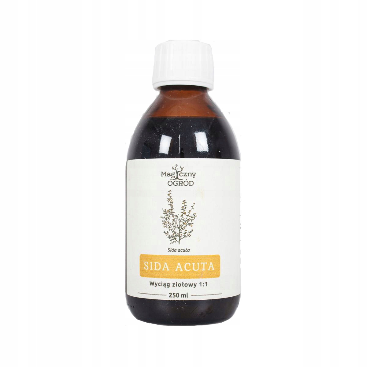 

Sida acuta nalewka 1:1 250ml Magiczny Ogród