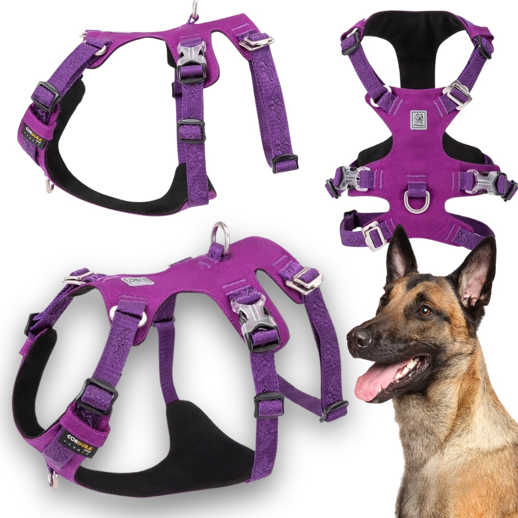 Levně Protiúnikové Obojky Pro Psa Voděodolné Winhyepet Escape Soft Fialové