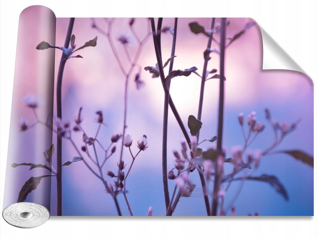 

Tapeta Samoprzylepna Pąki Fioletowy - 152x104