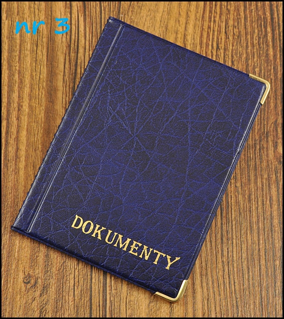 OKŁADKA ETUI NA DOWÓD REJESTRACYJNY, DOKUMENTY Wzór dominujący bez wzoru