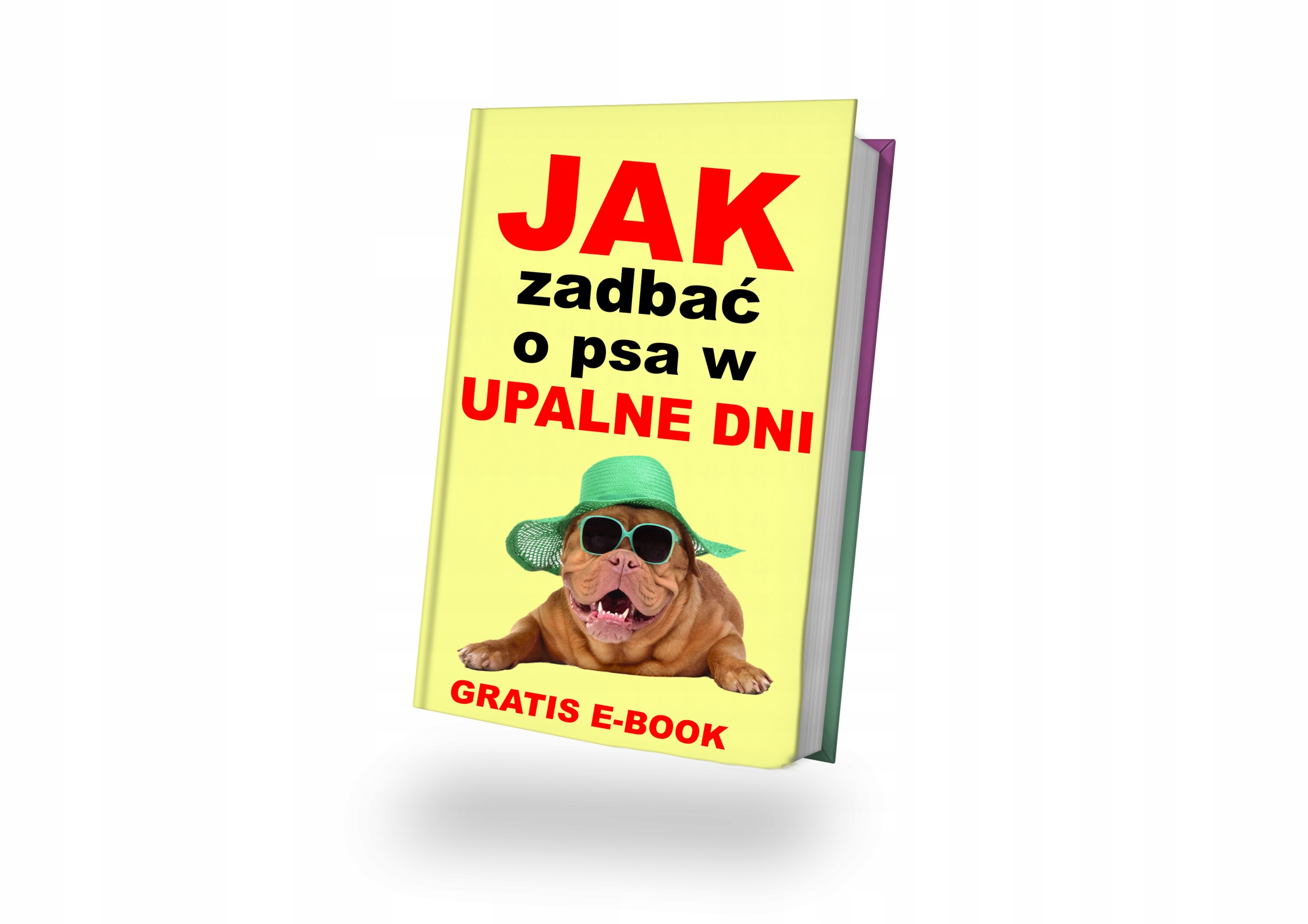 BASEN DLA PSA PSÓW KĄPIELI MOCNY DUŻY OGRODOWY XXL Stan opakowania oryginalne