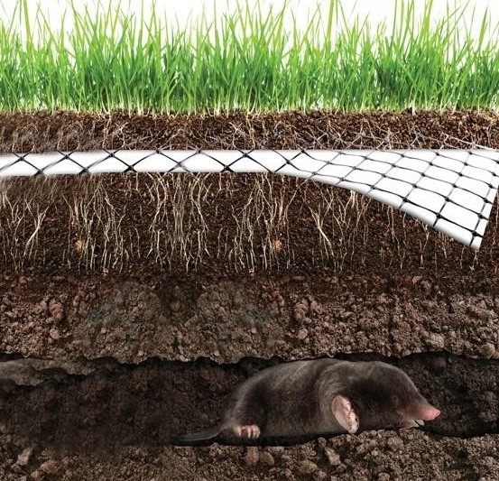 SIATKA NA KRETY NORNICE pod trawnik przeciw kretom 1m x 10m NA METRY EAN (GTIN) 5902020138426