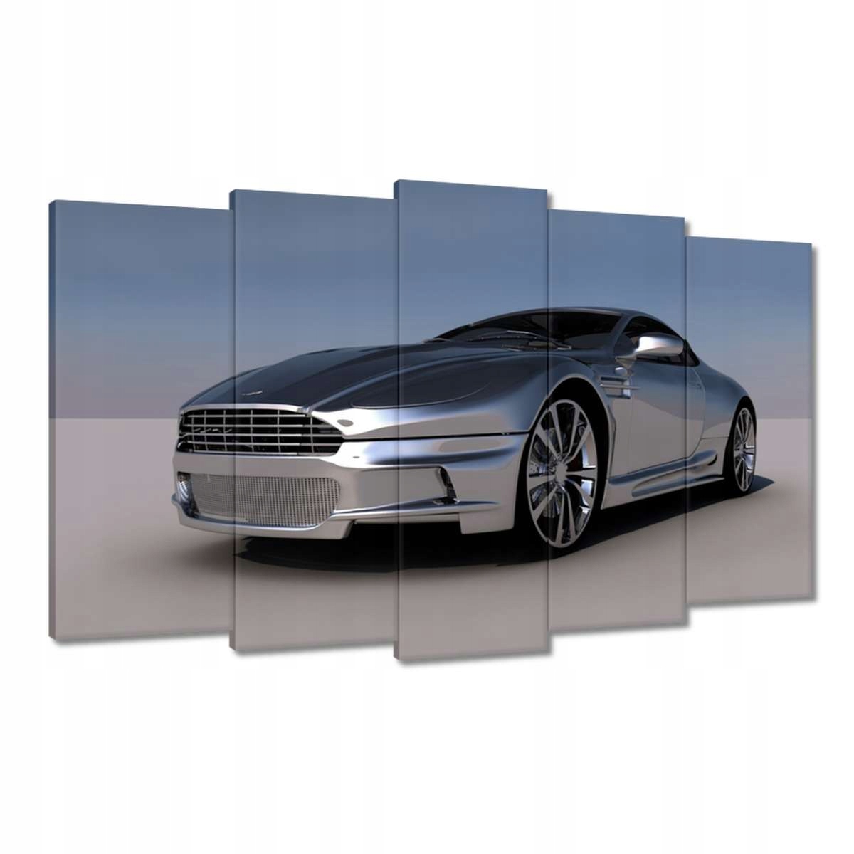 Obrazy 100x60 Stříbrný Aston Martin