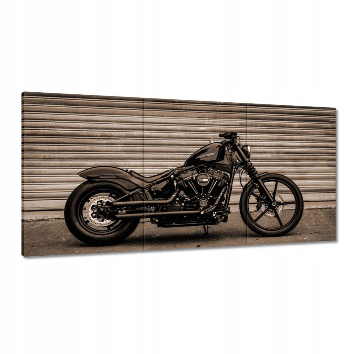 Obrazy 120x60 Harley Davidson Motocykl