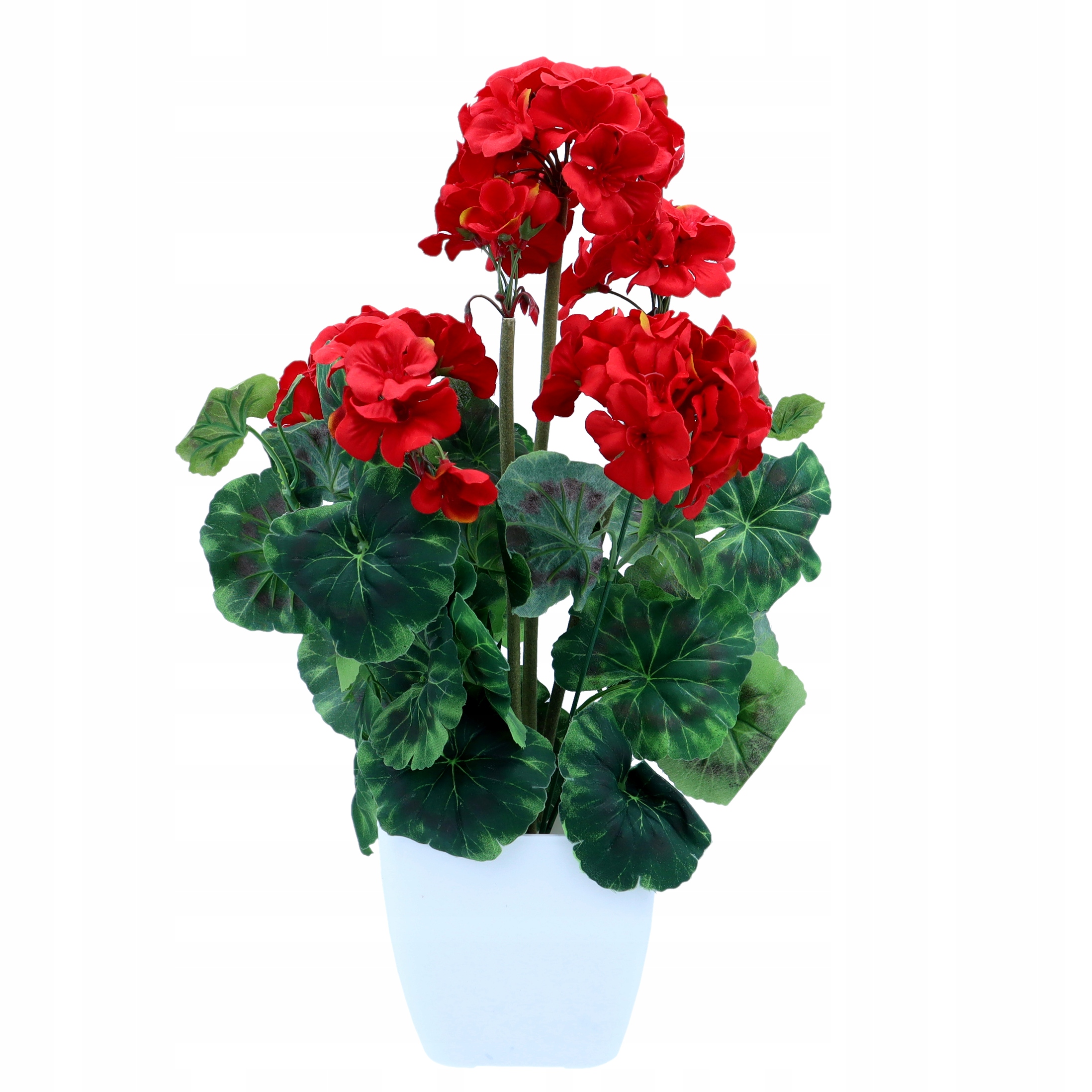 

Pelargonia w doniczce sztuczna roślina Czerwony