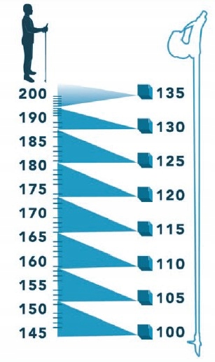 KIJKI do chodzenia NORDIC WALKING ZESTAW 2 SZT Liczba segmentów 3