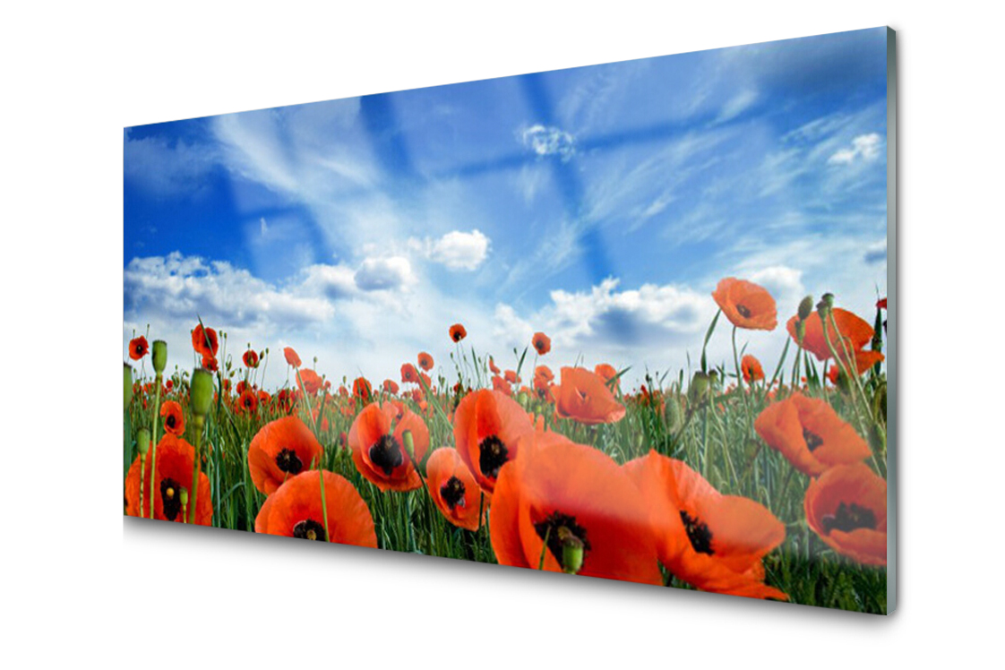 

Panel szklany Płytka Łąka Maki Kwiaty 120x60