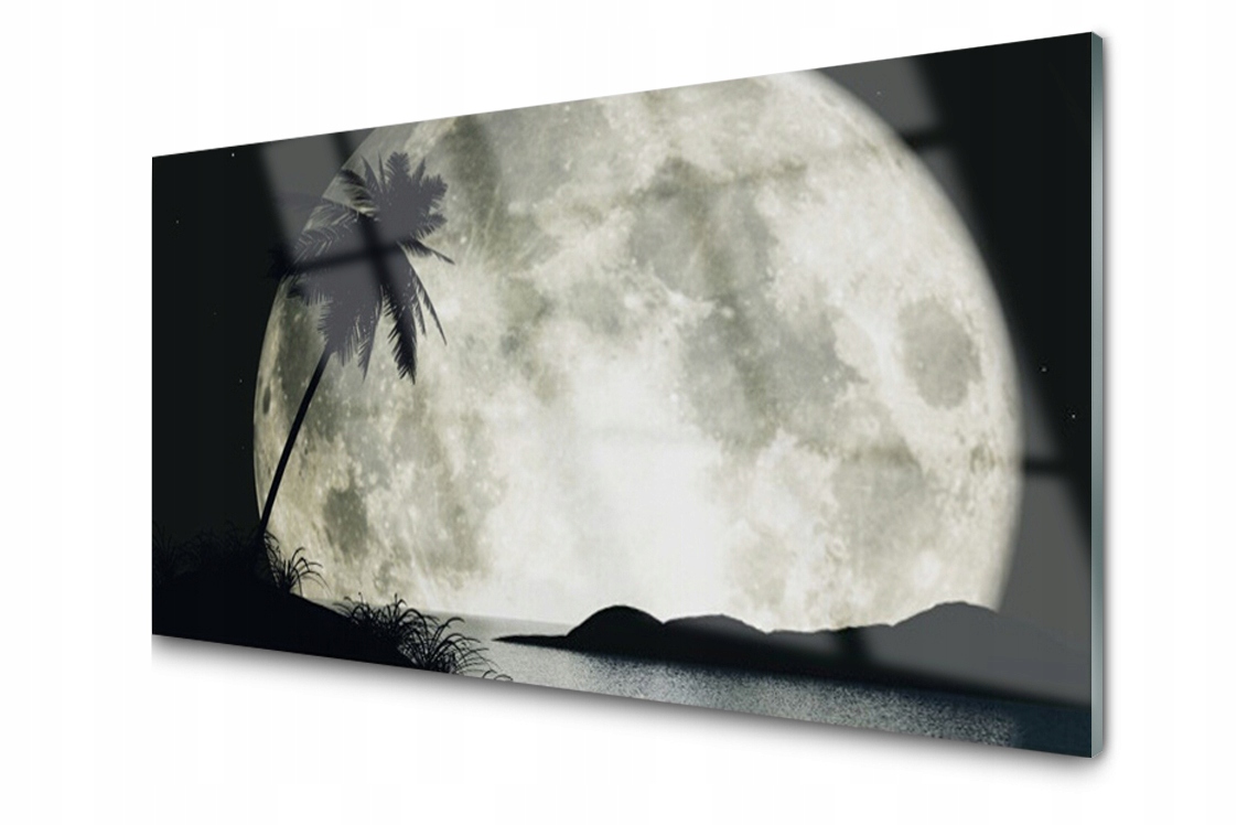 

Panel szklany dekor Noc Księżyc Palma 100x50