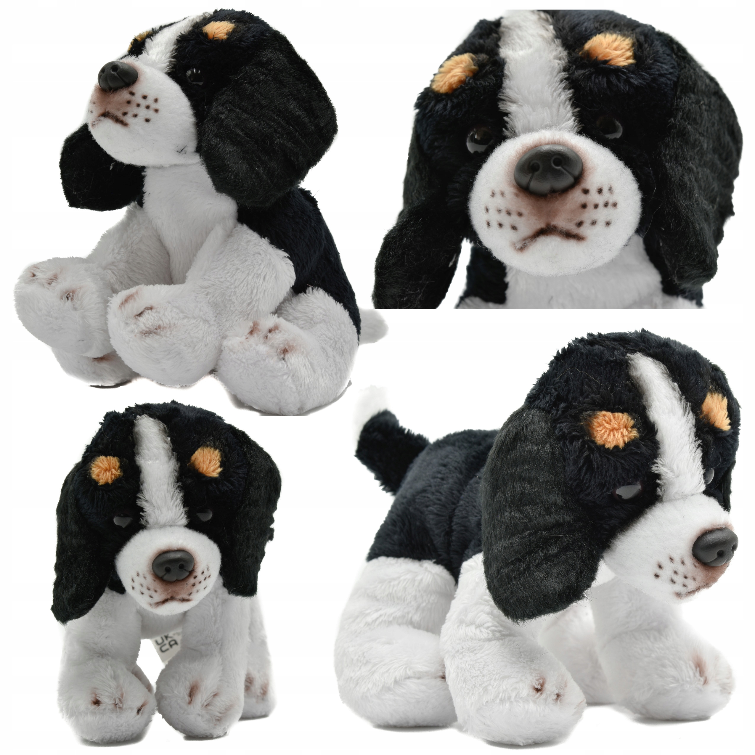 

Maskotka Pluszak Pies Piesek King Charles Spaniel