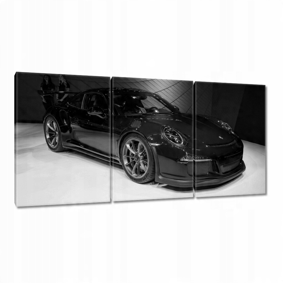 

Obrazy 120x60 Porsche