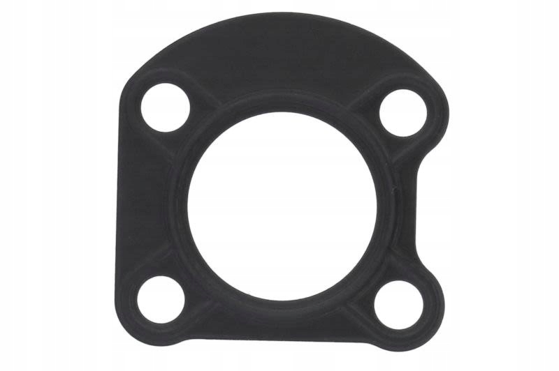 Uszczelka pompy wtryskowej BOSCH 1 461 038 319