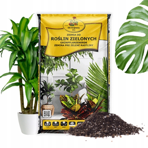PODŁOŻE DO ROŚLIN DOMOWYCH ZIELONYCH DONICZKOWE 5LPALMA JUKA DRACENA