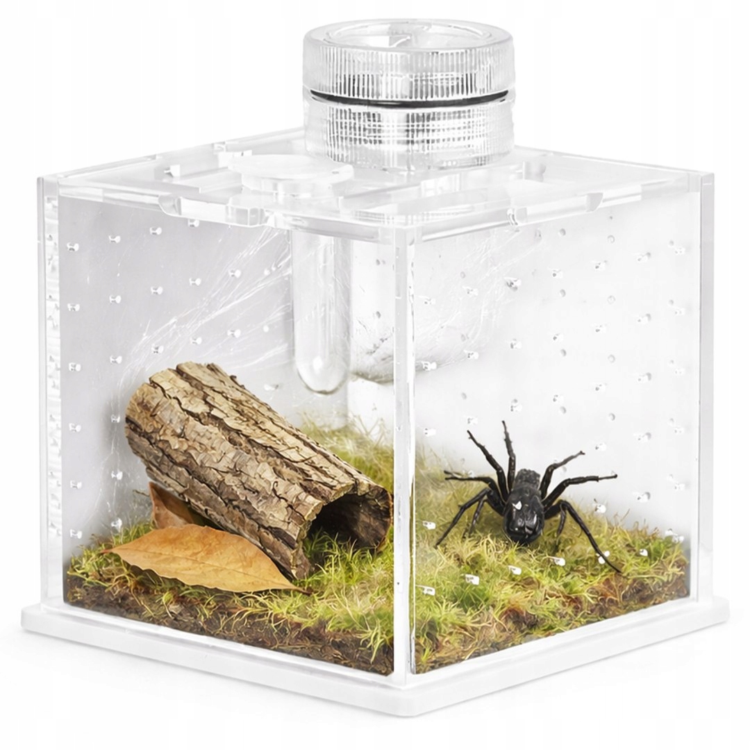 Terrario SpiderNook M – mini akrylové terárium s osvětlením