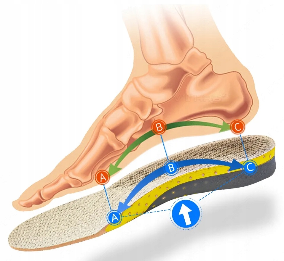 WKŁADKI DO BUTÓW AMORTYZUJĄCE NA PŁASKOSTOPIE KOŚLAWOŚĆ OSTROGI SUPINUJĄCE Cechy dodatkowe lateksowa poduszka oddychające pamięć ortopedyczna przeciwpotne