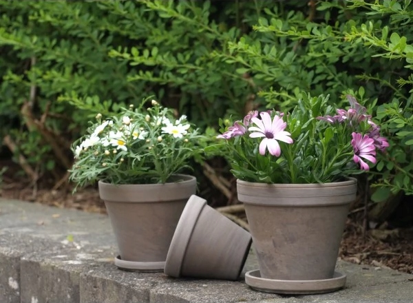 PODSTAWKA POD DONICZKĘ TERAKOTA BAZALT 16 cm BAZALTOWA Marka inna