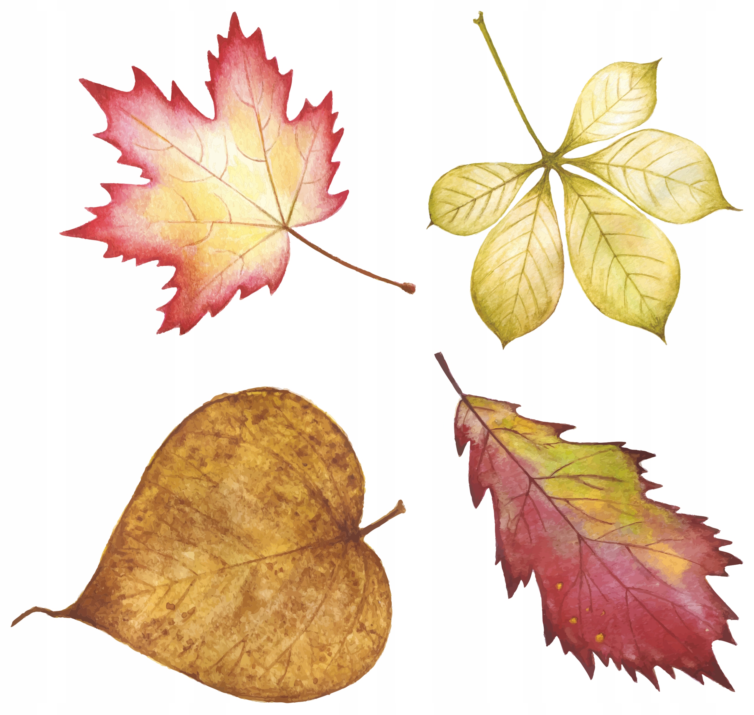 

Naklejki Na Okno Lustro Szybę Liście Listki Jesień