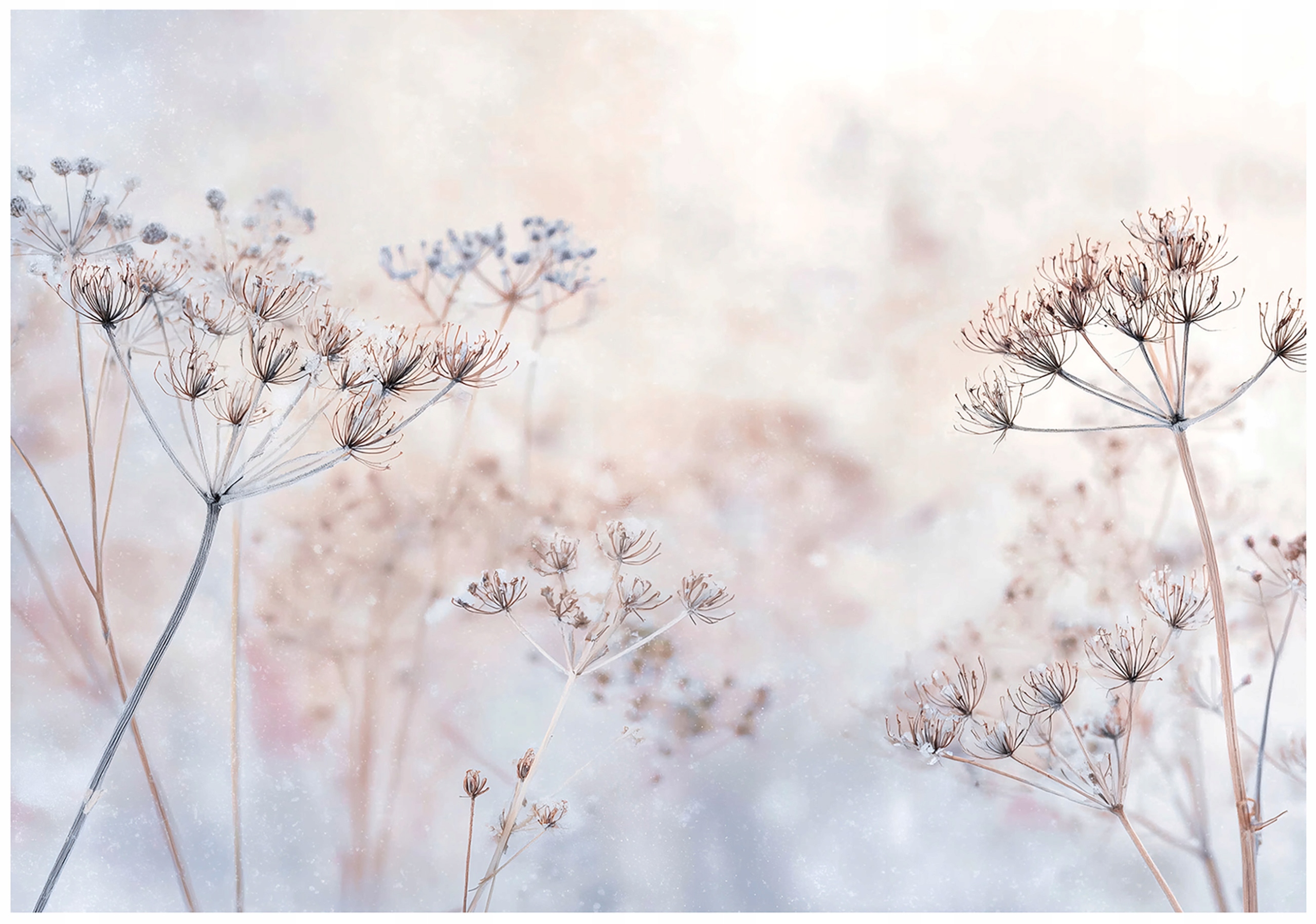 Fototapeta Béžová Boho Květiny Tapeta Do Předsíně Obývacího Pokoje Kanceláře 200x140