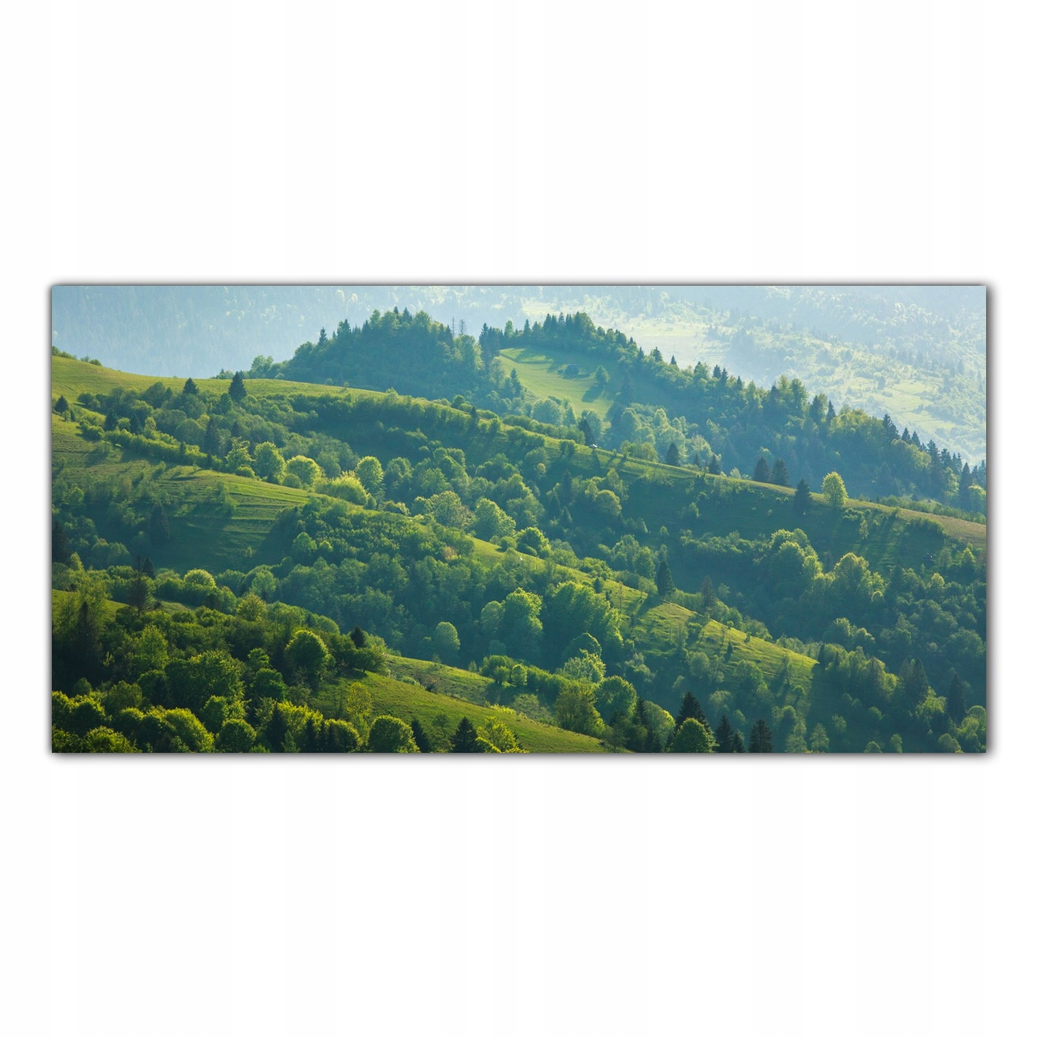 

Hartowany Obraz Szklany Krajobraz Pole Wieś 120x60