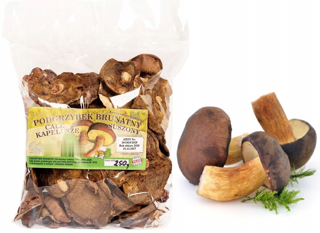 Levně Podhoubek Klobouky 250g Nová Sbírka 2025 Polský Atest sušené lesní houby