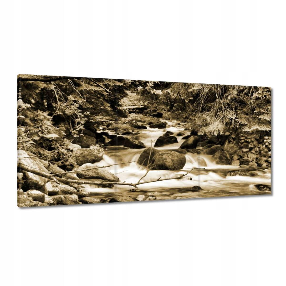 Obrazy 180x90 Tatry Poľské hory Pohľad