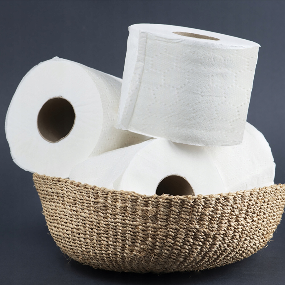 PAPIER TOALETOWY FAMILIA BIAŁY 3 WARSTWY 40 ROLEK Postać rolka