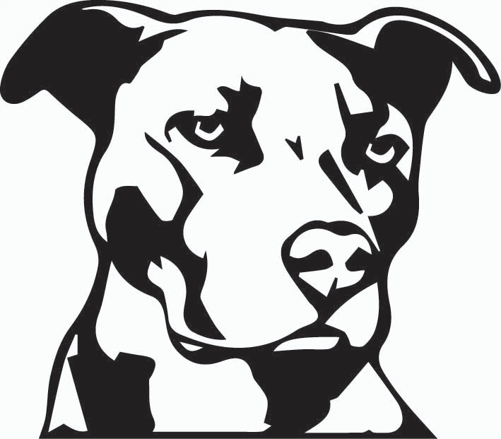 

Naklejka na auto samochód Pitbull