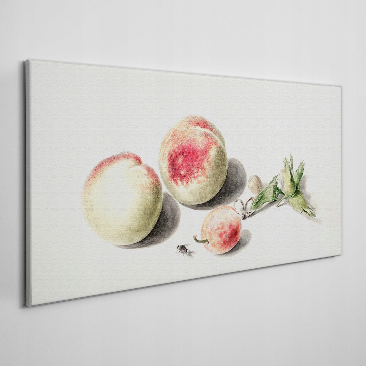 

Płótno obraz na ścianę Owoce brzoskwinia 140x70 cm