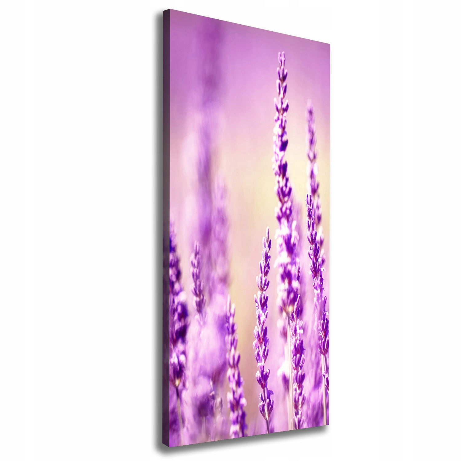

Nowoczesny obraz canvas na ramie Lawenda 50x125 cm