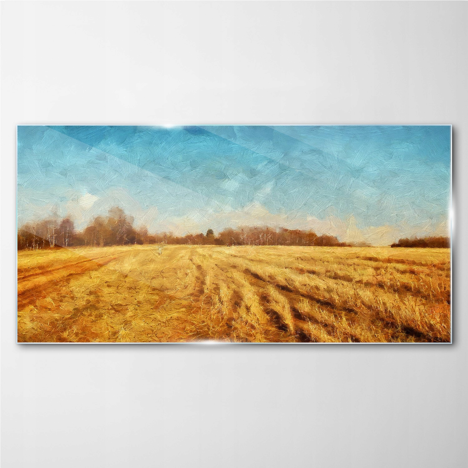 

Szklany obraz na ścianę Wieś pole las 100x50 cm