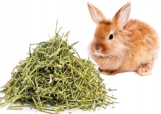 Levně 10 kg sena maďarského sena pro králíka, miniatury králíků chovaných pro hospodářské účely