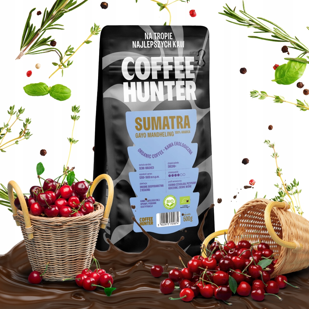 Kawa Organiczna Sumatra Gayo Mandheling 1000g