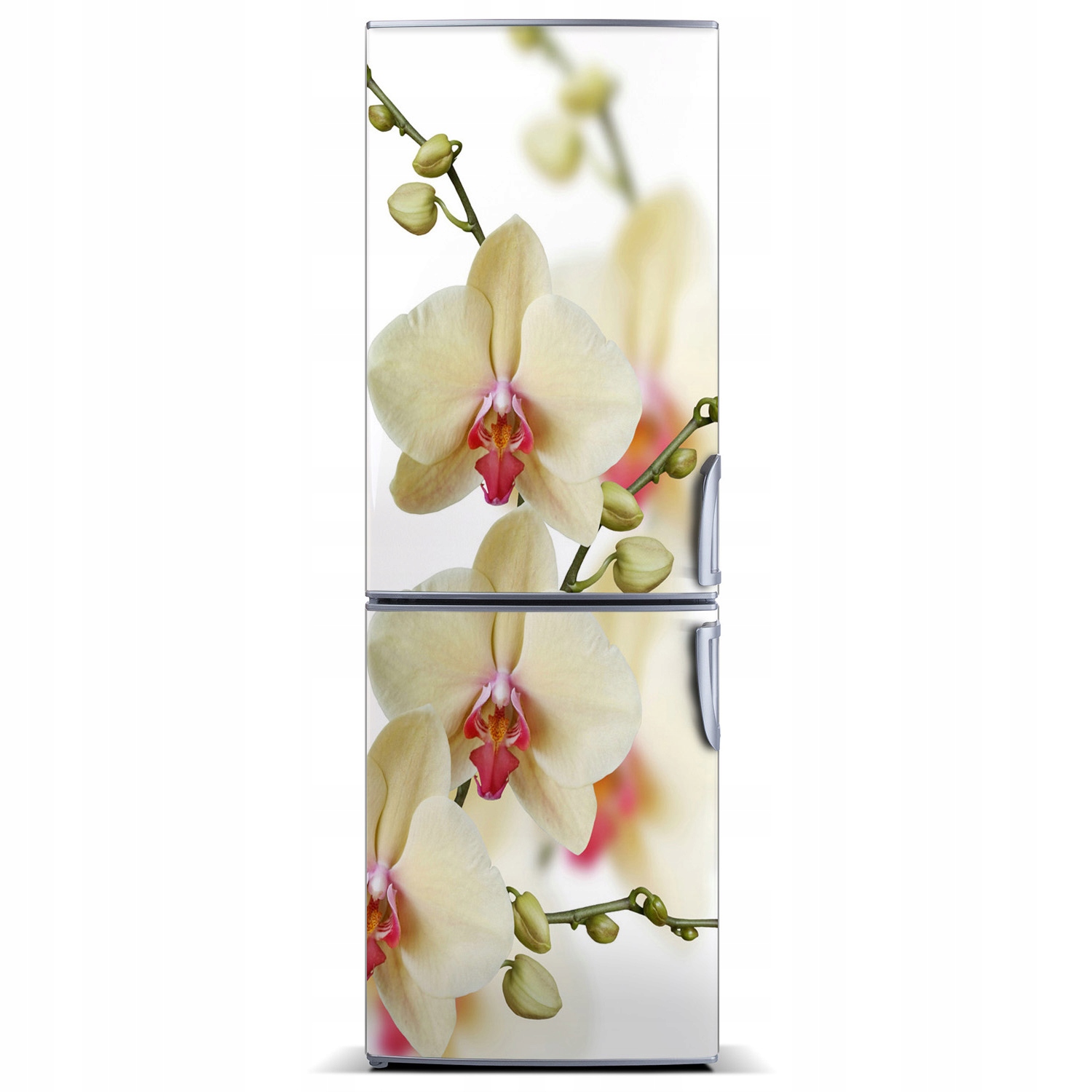 

Naklejka Magnes na lodówkę Orchidea 60x180