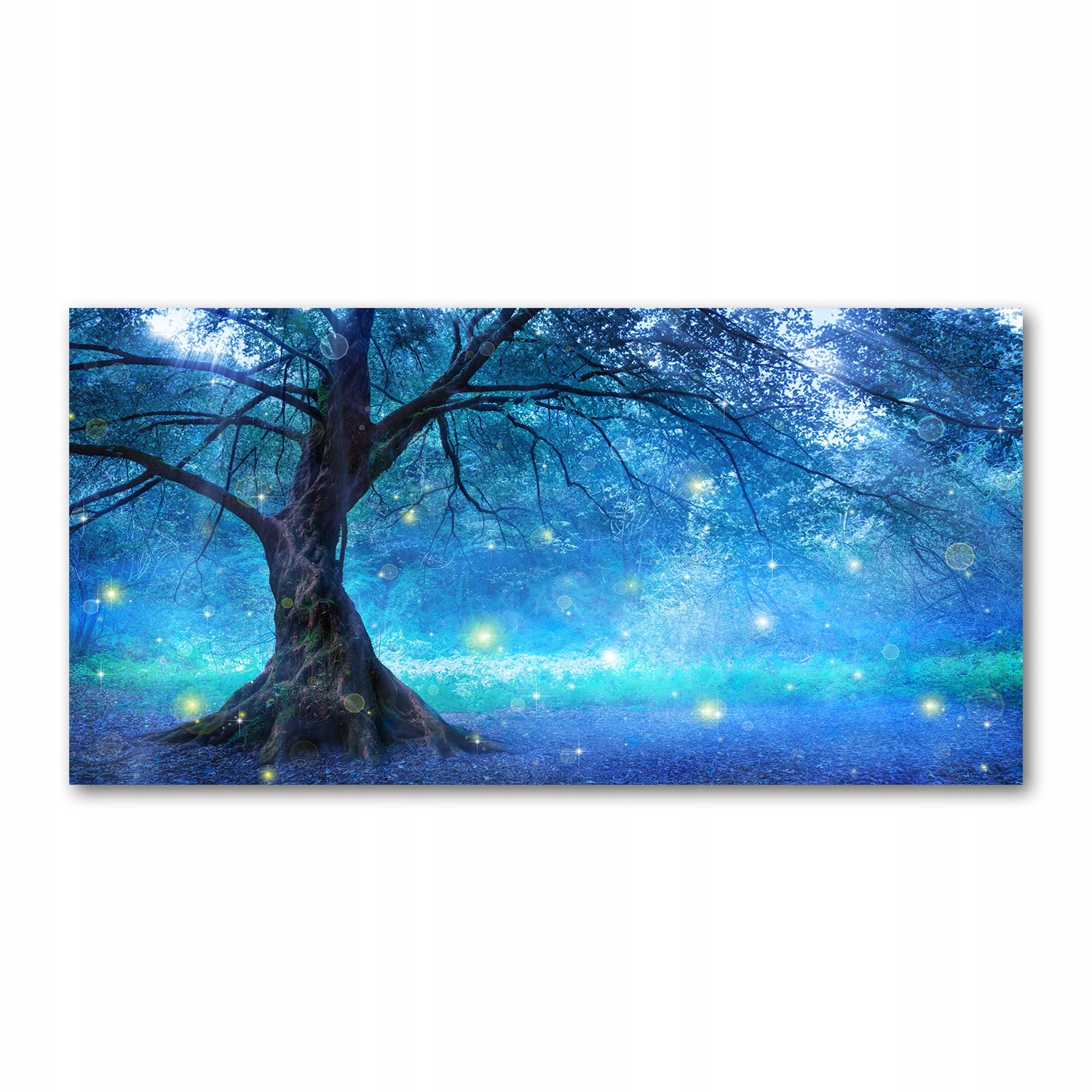 

Foto obraz akryl zdjęcie Tajemniczy las 120X60 cm