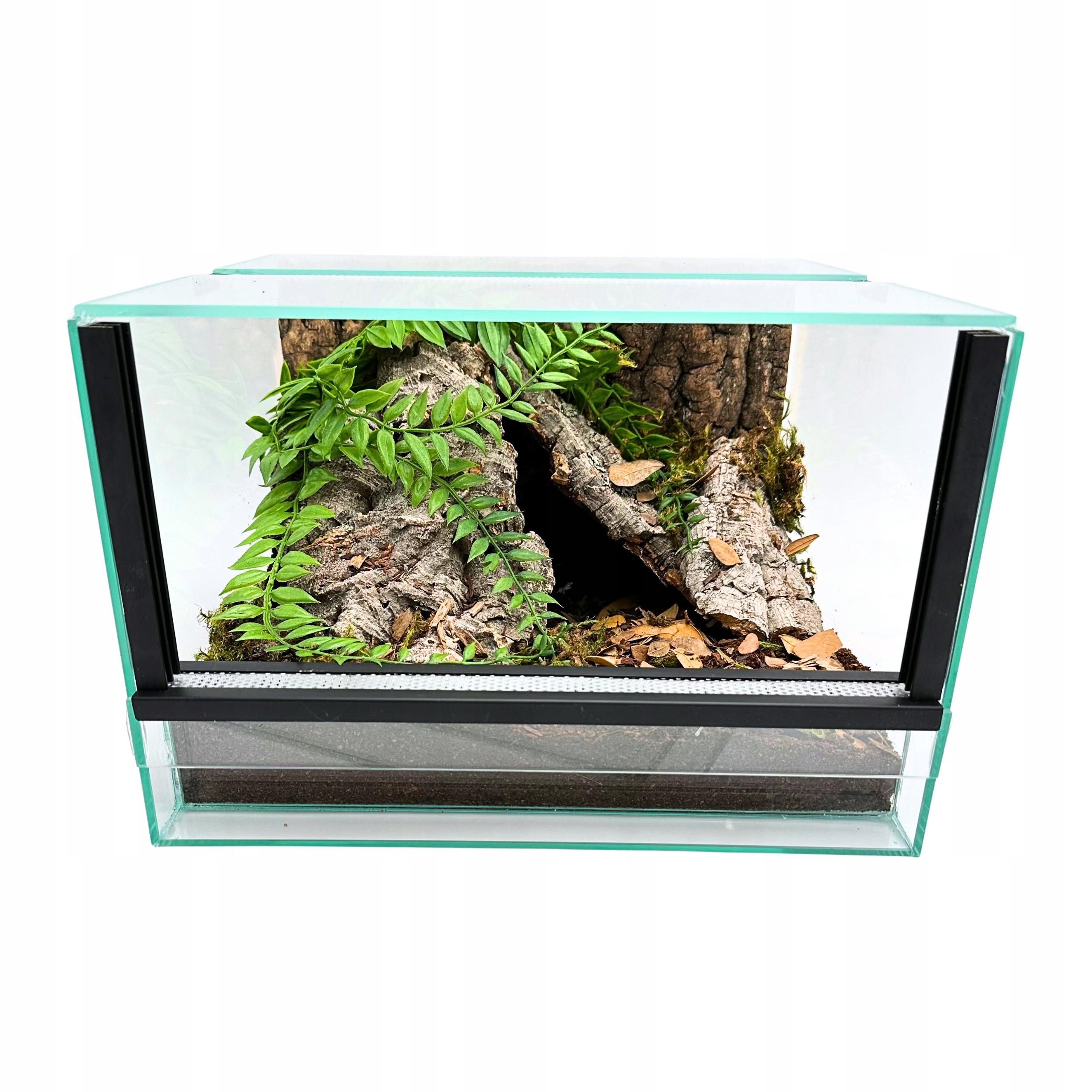Skleněné terárium s příslušenstvím 30x30x20 cm Sada pro pozemní pavouky